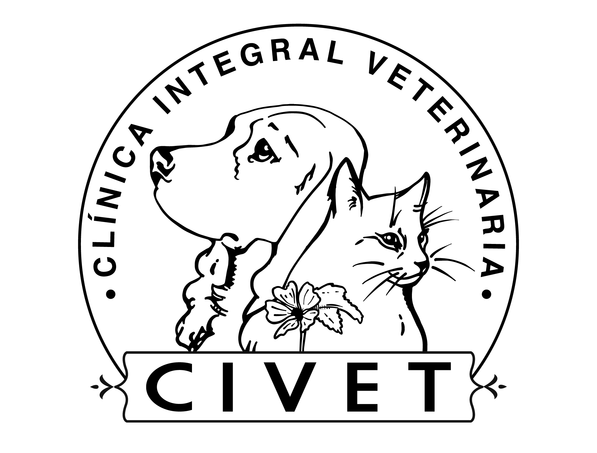 Brand & Image for Veterinary Clinic, hand-drawn and old fashioned.